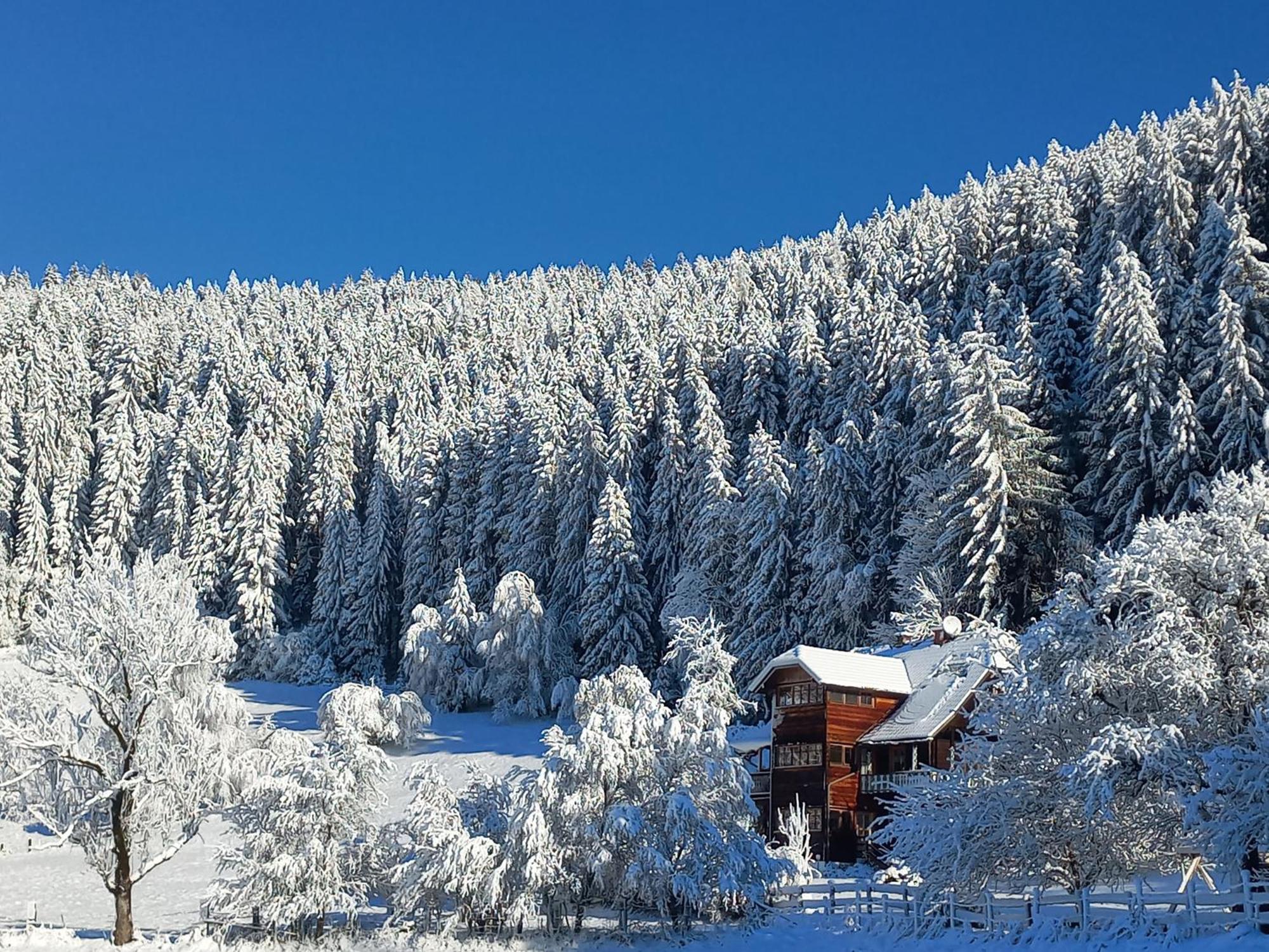 Apartamento Steurer Hof Liebenfels Exterior foto