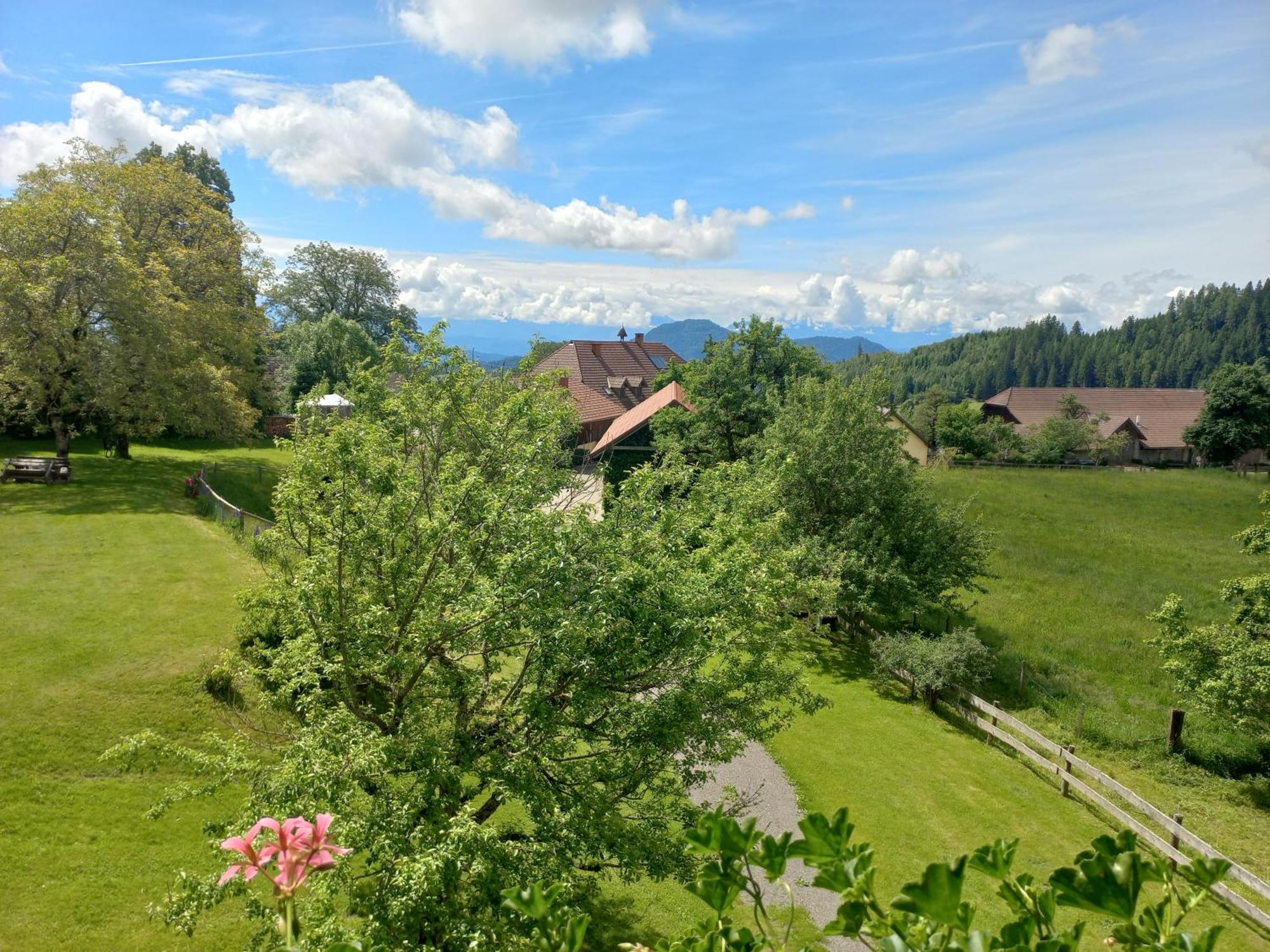 Apartamento Steurer Hof Liebenfels Exterior foto