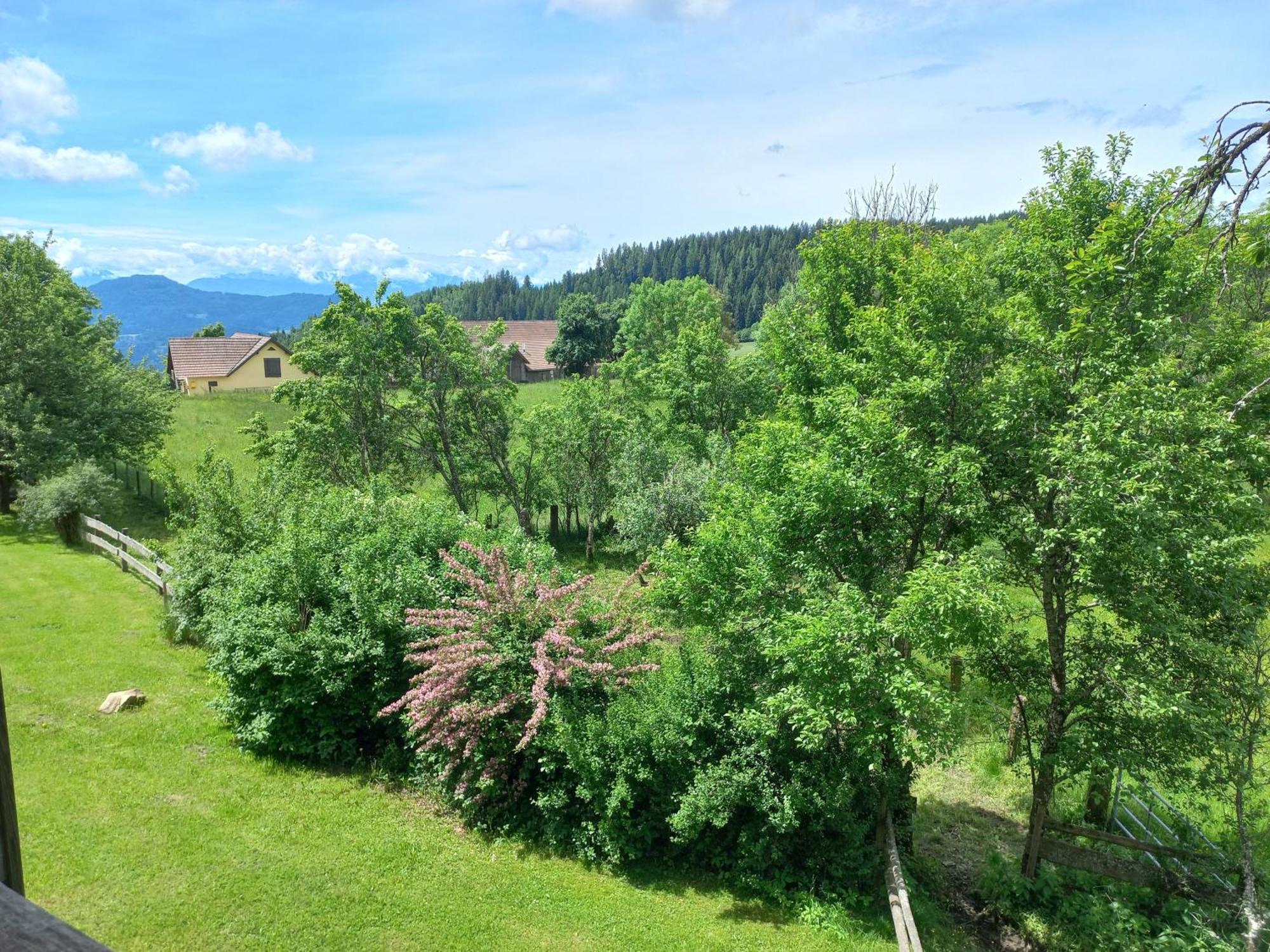 Apartamento Steurer Hof Liebenfels Exterior foto