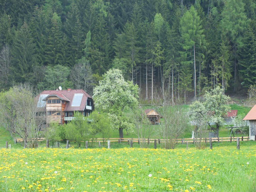 Apartamento Steurer Hof Liebenfels Exterior foto
